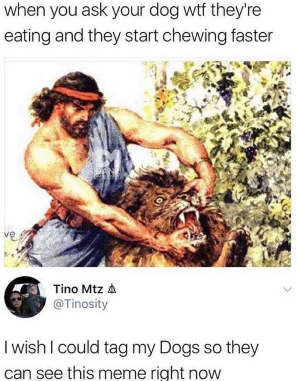 when you ask your dog wif they're eating and they start chewing faster к: Tino Mtz A @Tinosity wish could tag my Dogs so they can see this meme right now