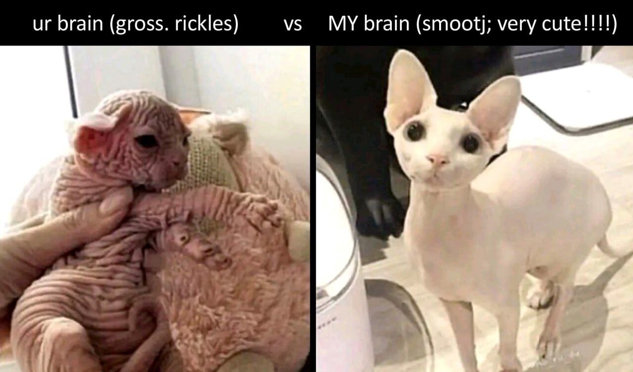 brain (gross. rickles) MY brain (smootj; very cute!!!!) a к