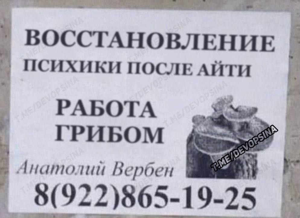 ВОССТАНОВЛЕНИЕ ПСИХИКИ ПОСЛЕ АЙТИ РАБОТА ГРИБОМ Анатолий Вербен 8(922)865-19-25