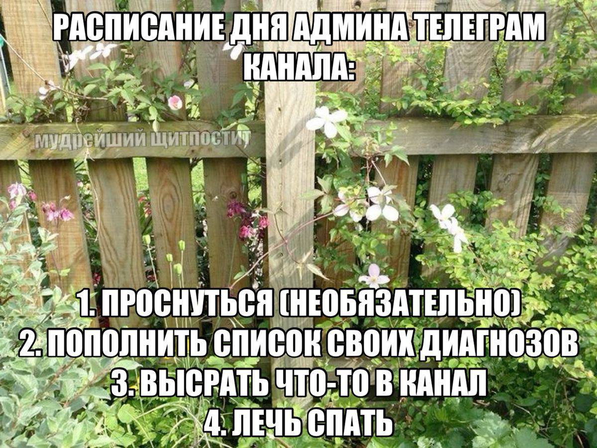 РАСПИСАНИЕ ДНЯ Я “RAHA 4 4 ПРОСНУТЬСЯ ‚список ДИАГНОЗОВ: on 'ВЫСРАТЬ ЧТО- TO В КАНАЛ СПАТЬ