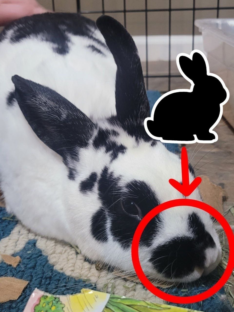 is