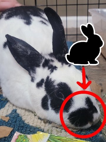 is
