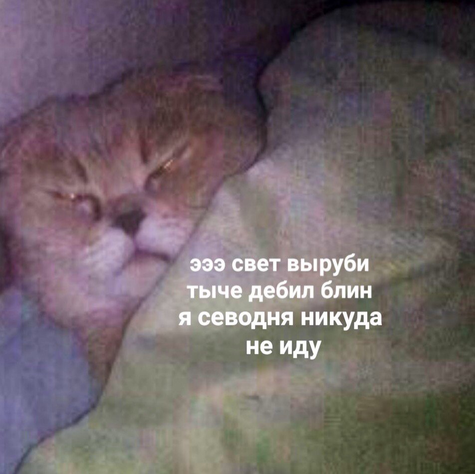 эээ свет выруби тыче дебил блин я севодня никуда не иду