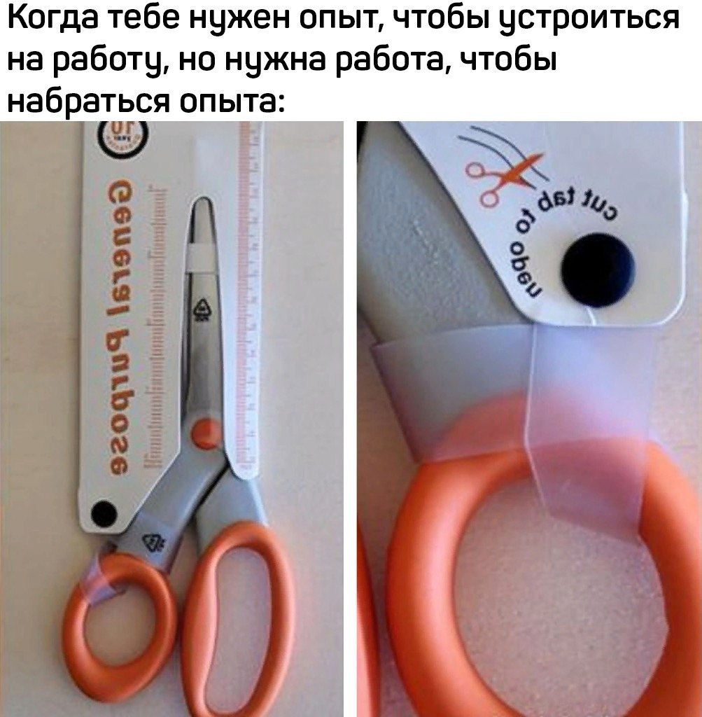 Когда тебе нужен опыт, чтобы устроиться на работу, но нужна работа, чтобы набраться опыта: