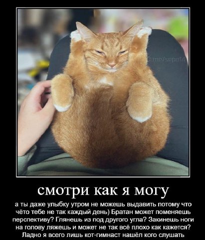 смотри как я могу аты даже улыбку утром не можешь выдавить потому что чёто тебе не так каждый день) Братан может поменяешь перспективу? Глянешь из под другого угла? Закинешь ноги на голову ляжешь и мо