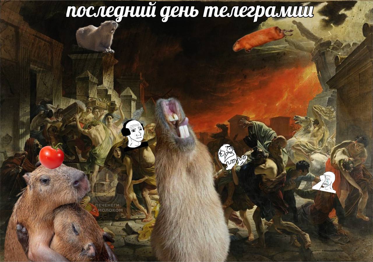 3 последний день телегралмии 5 у В A 4 1 4 a if’ if 4 a i 2$ a awe C\MONOKOM а к у 4 Я