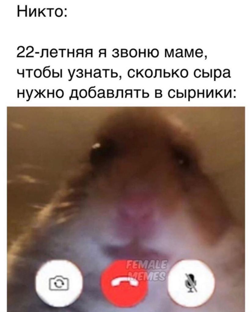Никто: 22-летняя я звоню маме, чтобы узнать, сколько сыра нужно добавлять в сырники:
