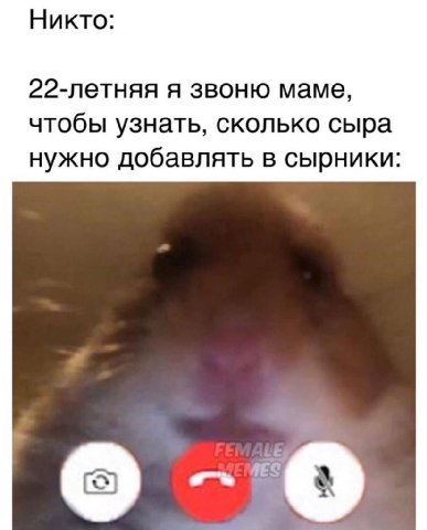 Никто: 22-летняя я звоню маме, чтобы узнать, сколько сыра нужно добавлять в сырники: