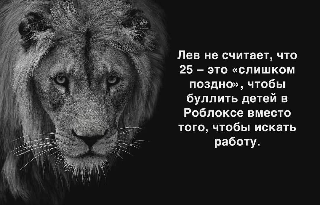 Лев не считает, что 25 это «слишком поздно», чтобы буллить детей в Роблоксе вместо того, чтобы искать работу.