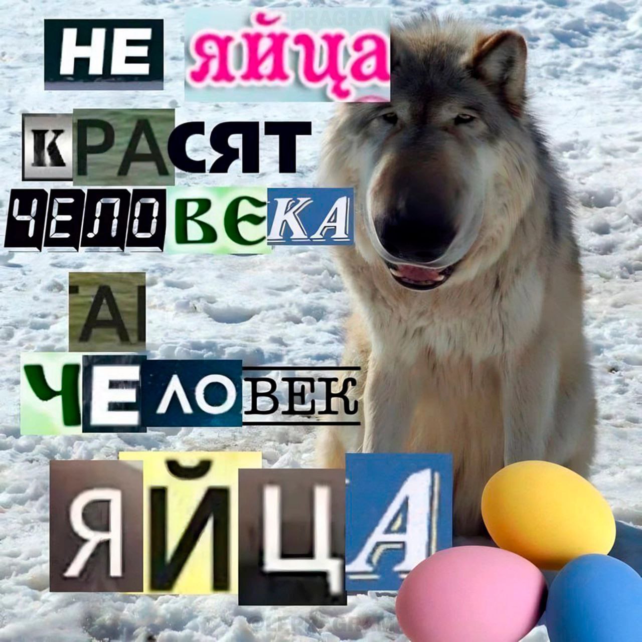 НЕ 0700 KPACSIT