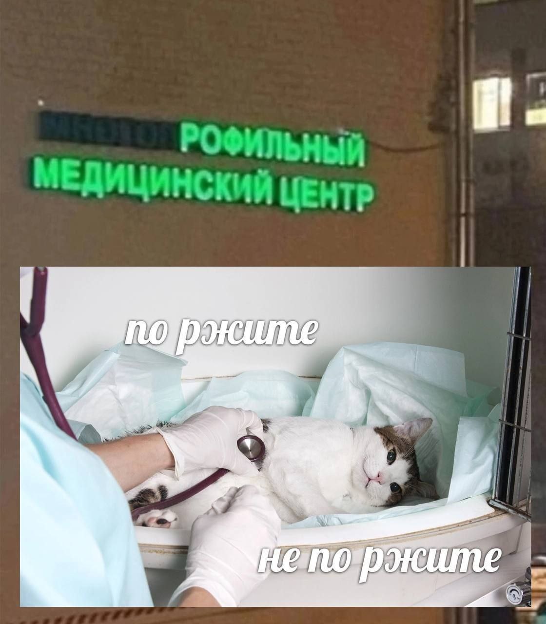 РОФИЛЬНЫЙ МЕДИЦИНСКИЙ ЦЕНТР