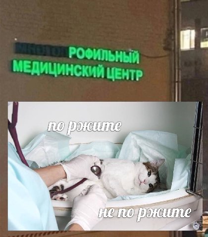 РОФИЛЬНЫЙ МЕДИЦИНСКИЙ ЦЕНТР