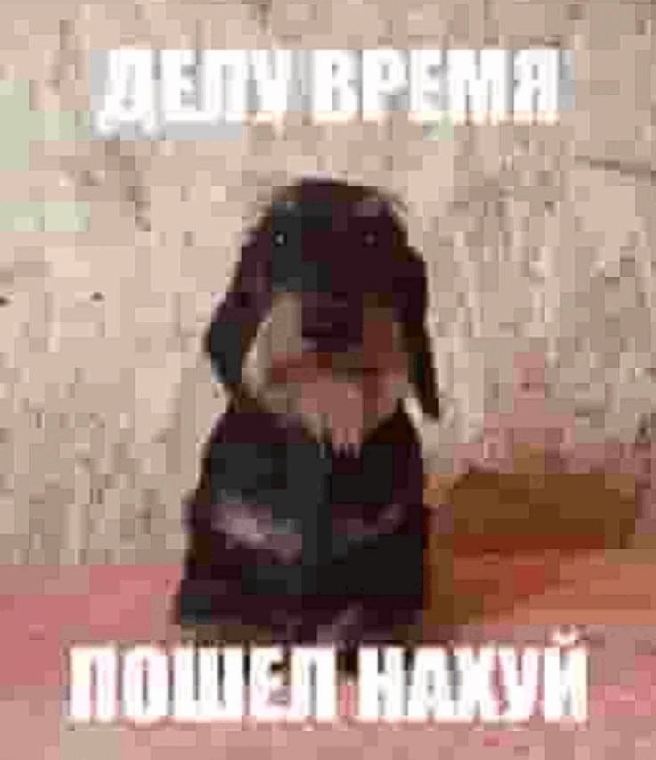 ПОШЕЛ НАХУЙ