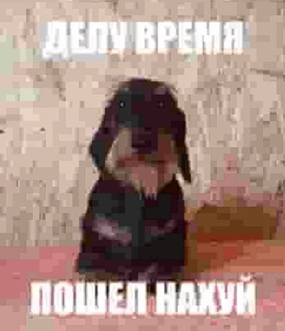 ПОШЕЛ НАХУЙ