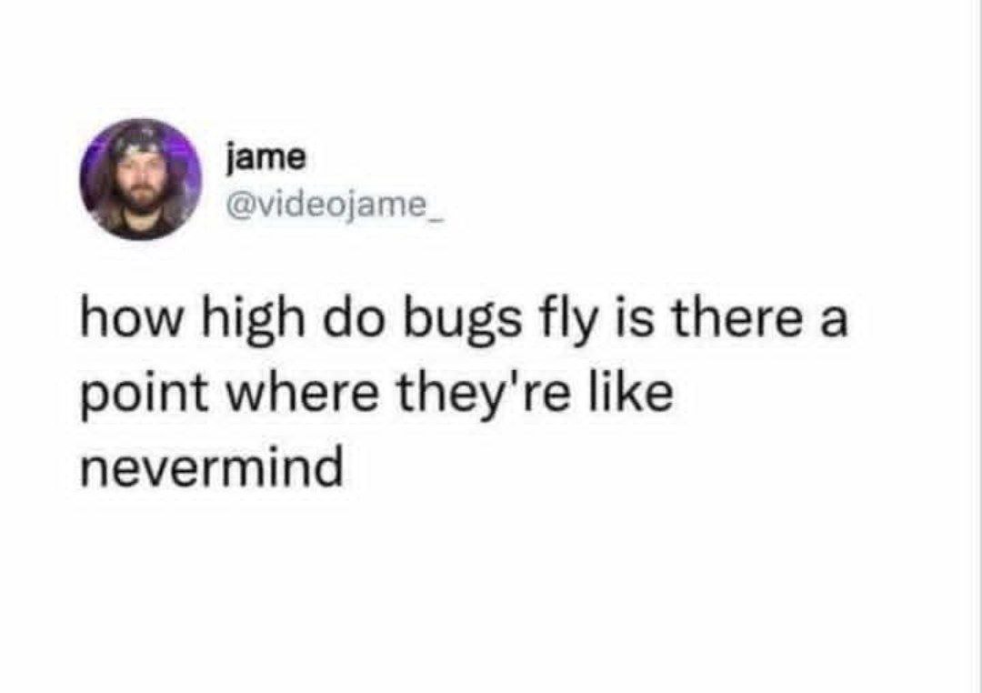 jame @videojame_ how high bugs fly is there a point where they're like nevermind