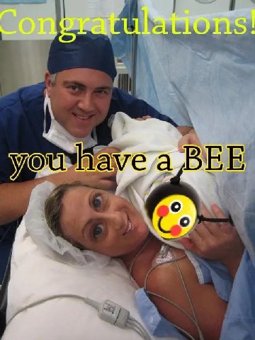 you a BEE