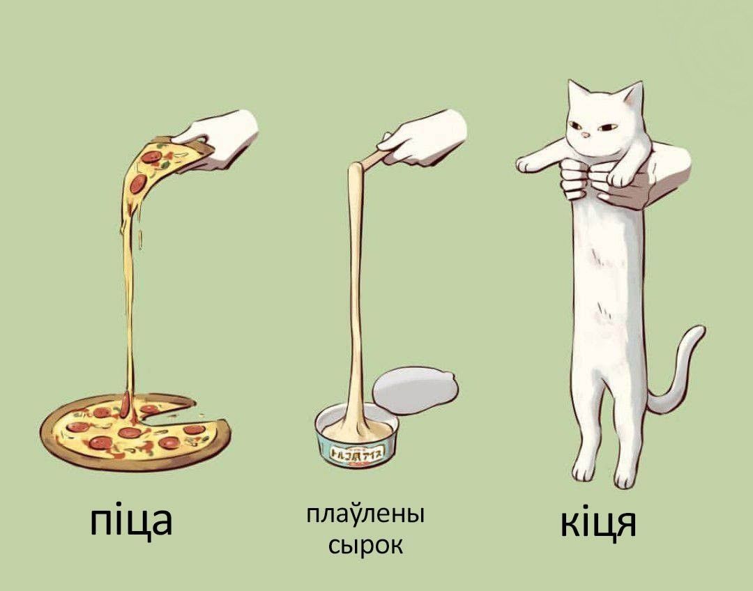 плаулены niua CbIPOK KILLA