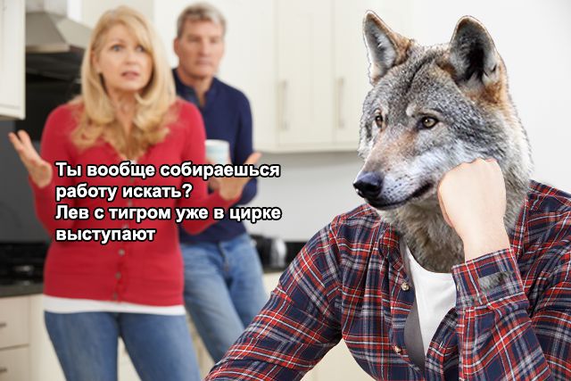 Ты вообще собираешься работу искать? Лев с тигром уже в цирке 7 выступают и