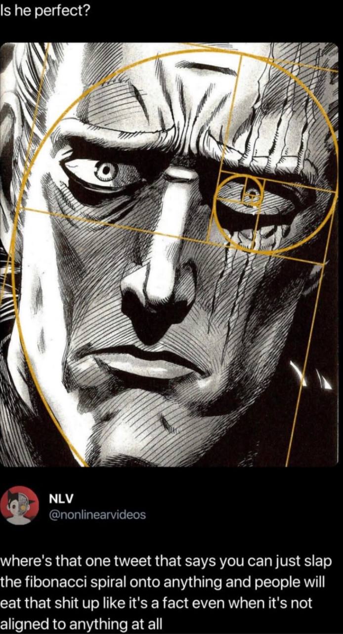 Is he perfect? 7 “уъь iff SUG A i 2 3 2 и” 5! я, IS NLV where's that one tweet that says you can just slap the fibonacci spiral onto anything and people will eat that shit up like it's a fact even whe