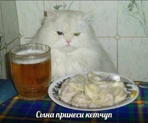 Сына принеси кетчуп