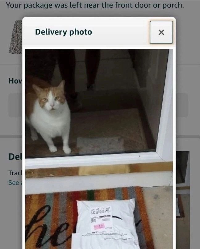 Your package was left near the front door or porch. Delivery photo Hov Del See