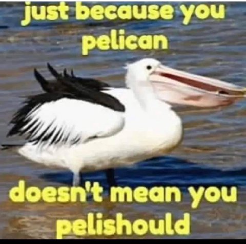 Just because you pelican doesn't mean you pelishould