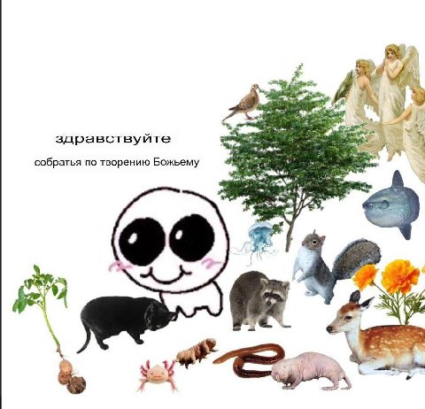 А здравствуйте собратья по творению Божьему fiz