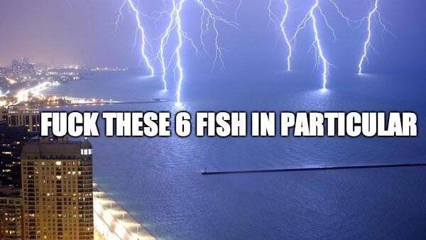 ЮСКТИЕЗЕ 6 FISH IN PARTICULAR