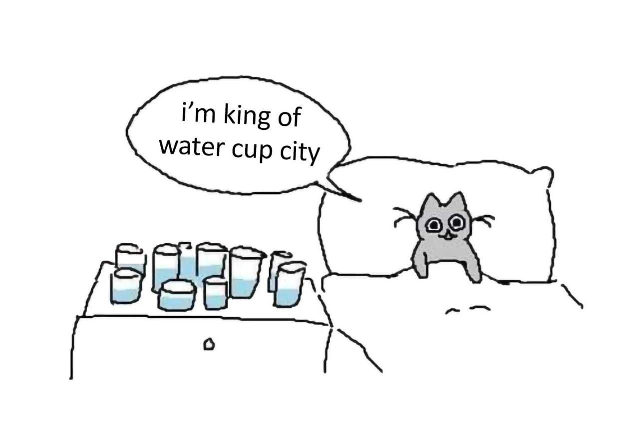 king of water cup city
