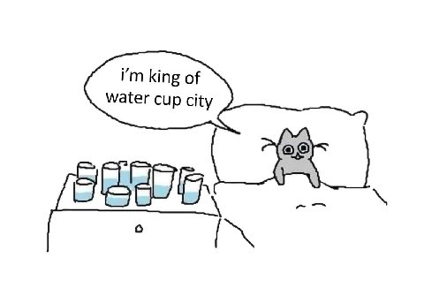king of water cup city