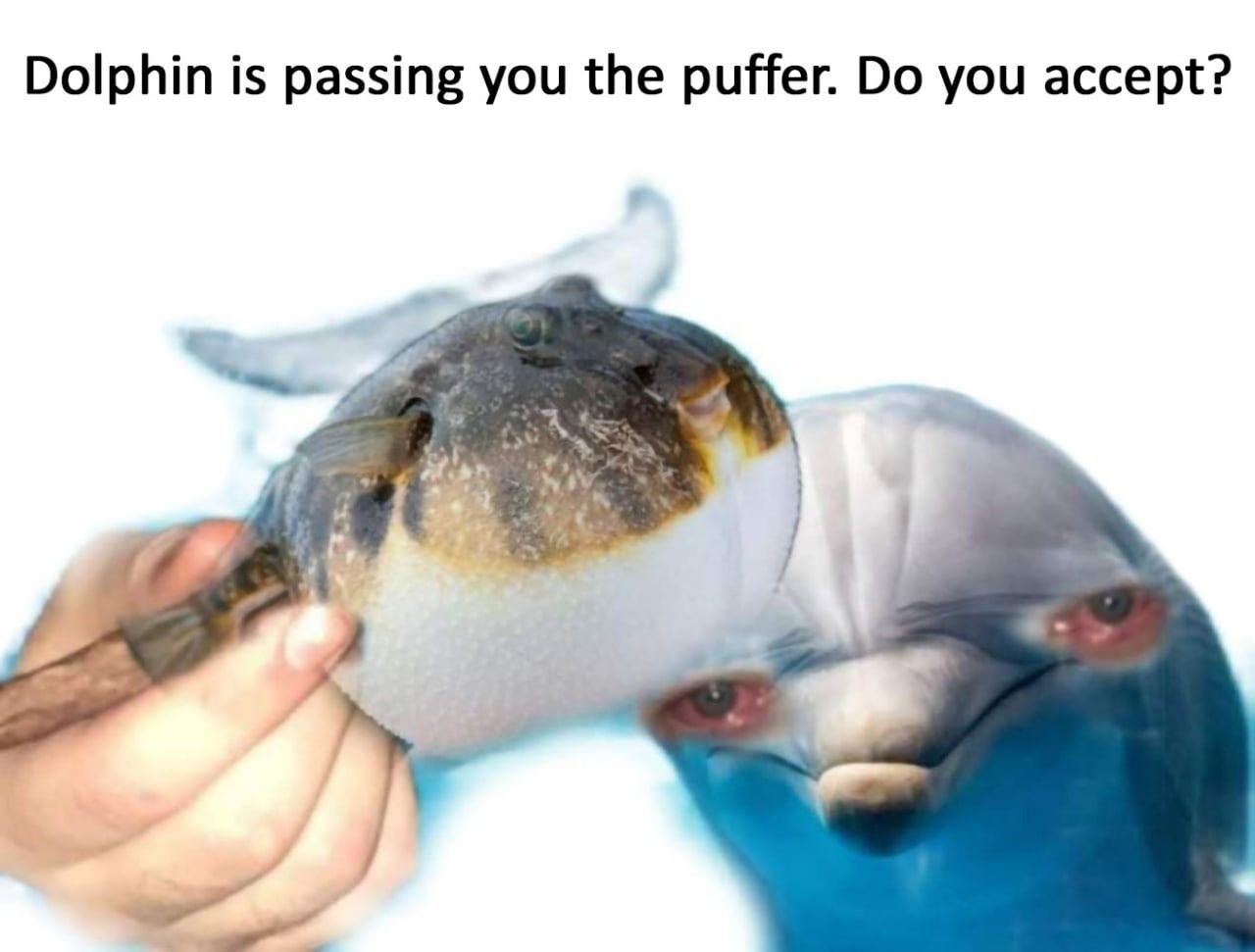 Dolphin is passing you the puffer. you accept? a=