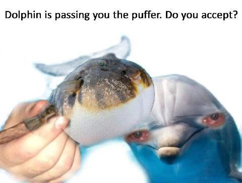 Dolphin is passing you the puffer. you accept? a=