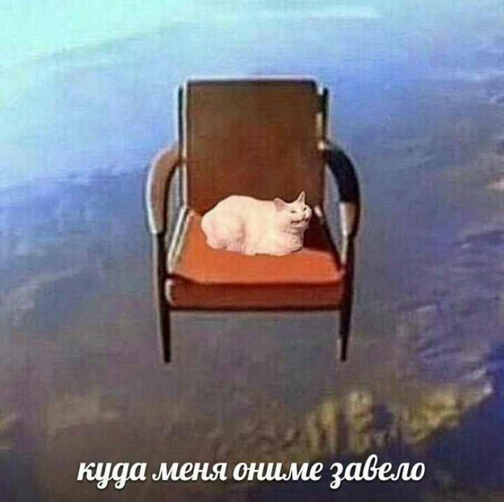 куда меня ониме забело