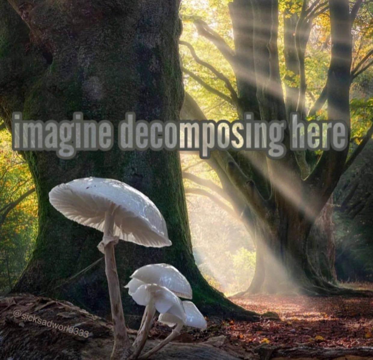 imagine