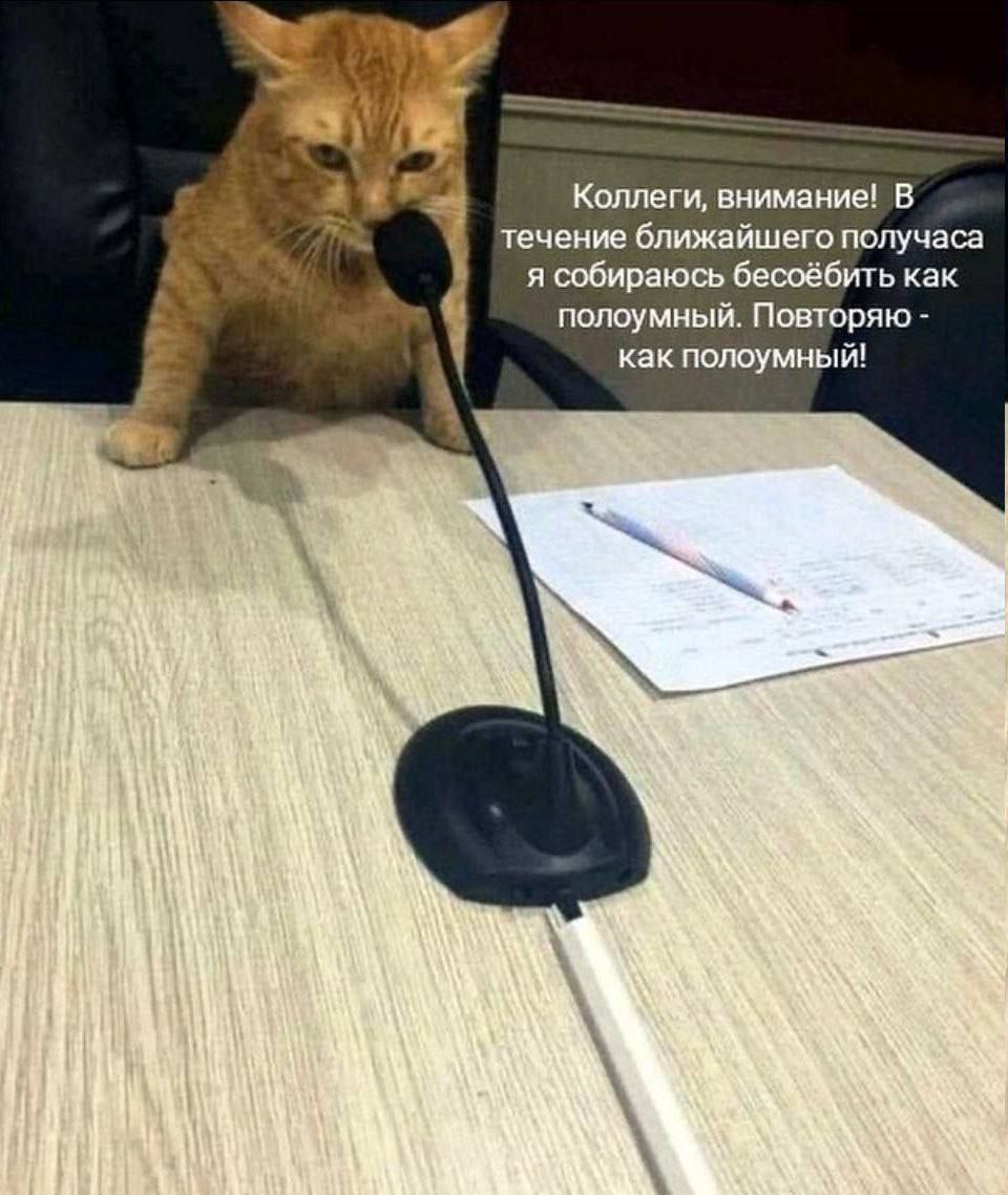 Коллеги, внимание! В течение ближайшего получаса я собираюсь бесоёбить как полоумный. Повторяю как полоумный!