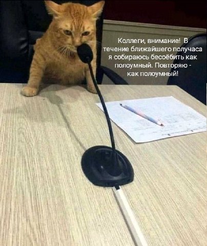 Коллеги, внимание! В течение ближайшего получаса я собираюсь бесоёбить как полоумный. Повторяю как полоумный!