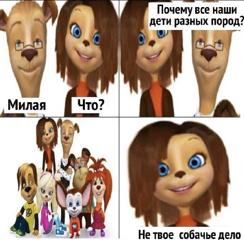 у Почему все наши дети разных пород: Милая Не твое собачье дело