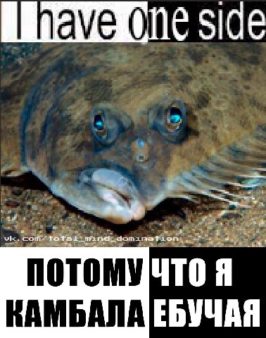 потому