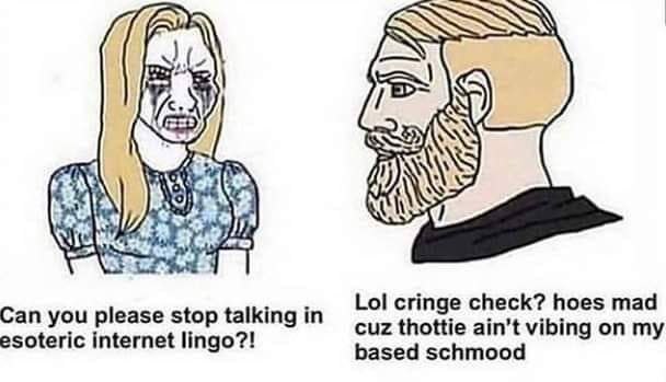 Я Lol cringe check? hoes mad Can you please stop talking in esoteric internet lingo?! cuz thottie ain’t vibing on my based schmood