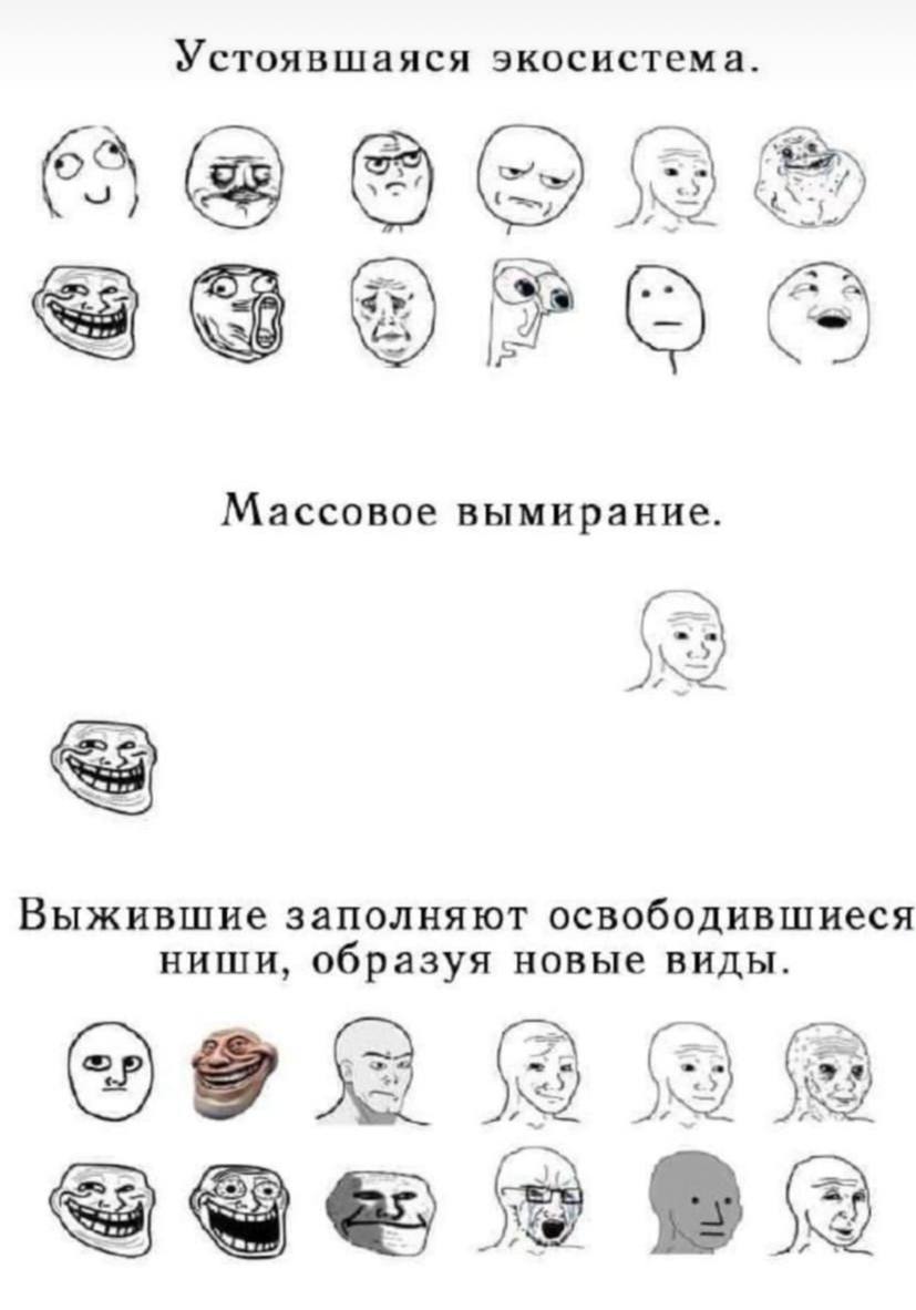 Устоявшаяся экосистема. (33 |2 Массовое вымирание. Выжившие заполняют освободившиеся ниши, образуя новые виды. 9