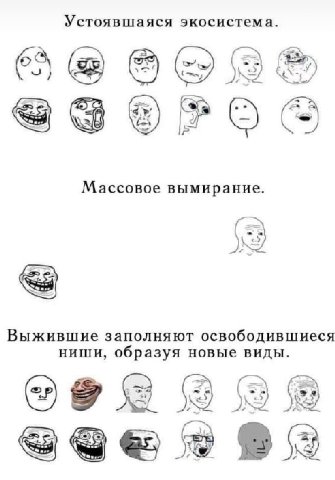 Устоявшаяся экосистема. (33 |2 Массовое вымирание. Выжившие заполняют освободившиеся ниши, образуя новые виды. 9