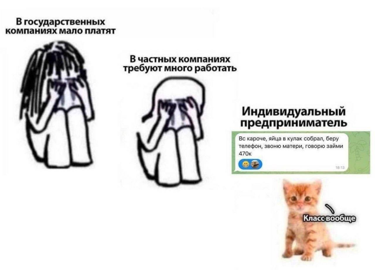 В государственных компаниях мало платят В частных компаниях требуют много работать Индивидуальный предприниматель кароче, яйца в кулак собрал, беру телефон, звоню матери, говорю займи 470к Класс вообщ