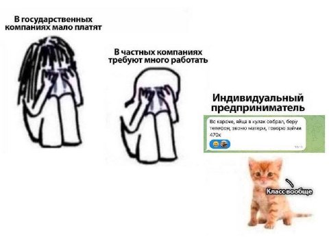 В государственных компаниях мало платят В частных компаниях требуют много работать Индивидуальный предприниматель кароче, яйца в кулак собрал, беру телефон, звоню матери, говорю займи 470к Класс вообщ