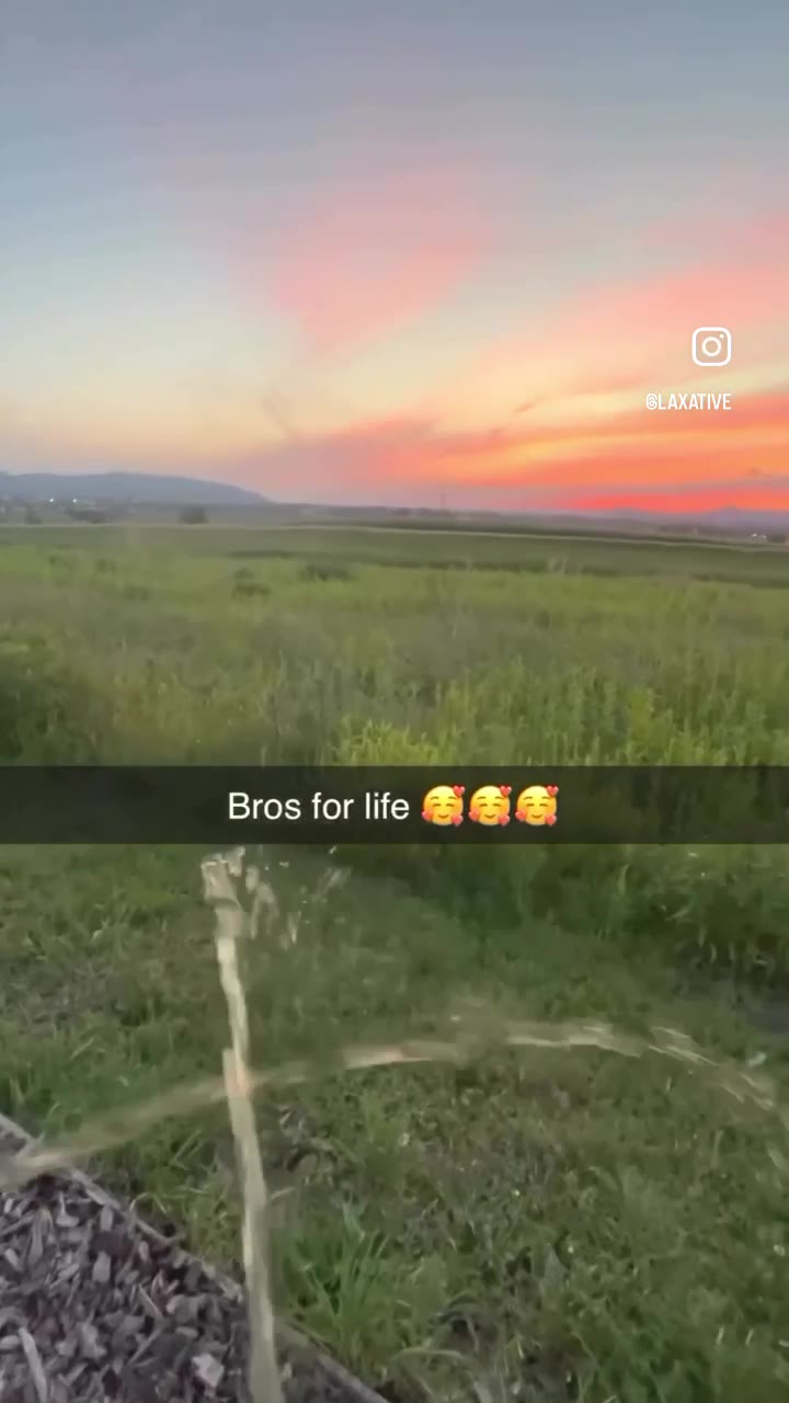 Bros for