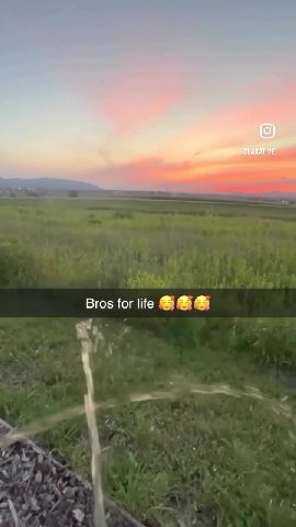 Bros for