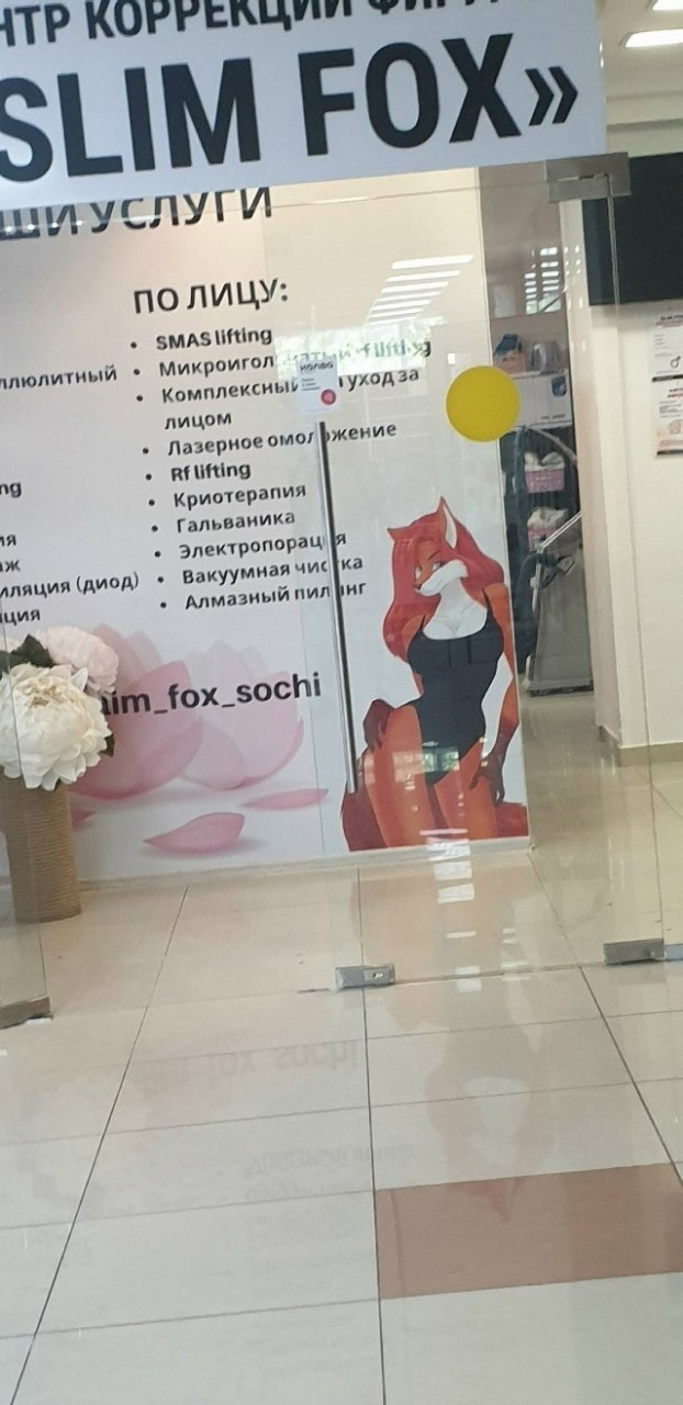 KOPF LIM no 572 Микроигол плюлитный за лицом Лазерное омолфжение Криотерапия я Гальваника Электропорац Вакуумная лляция (диод) Алма зный ция 5 _fox_sochi me