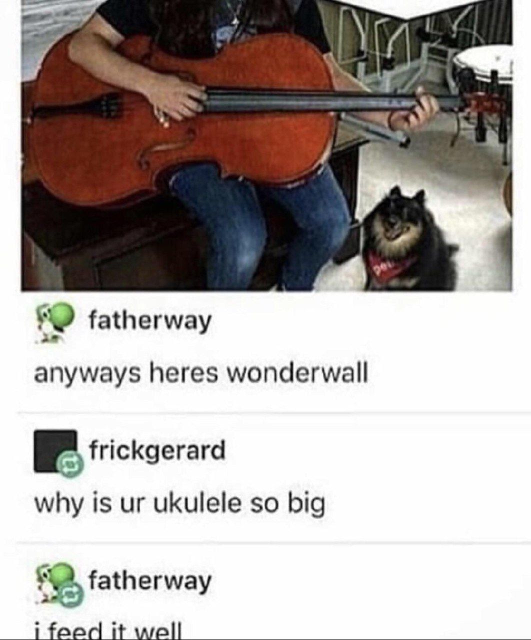 СИА у 9“ fatherway anyways heres wonderwall frickgerard why is ukulele so big fatherway i faed it well