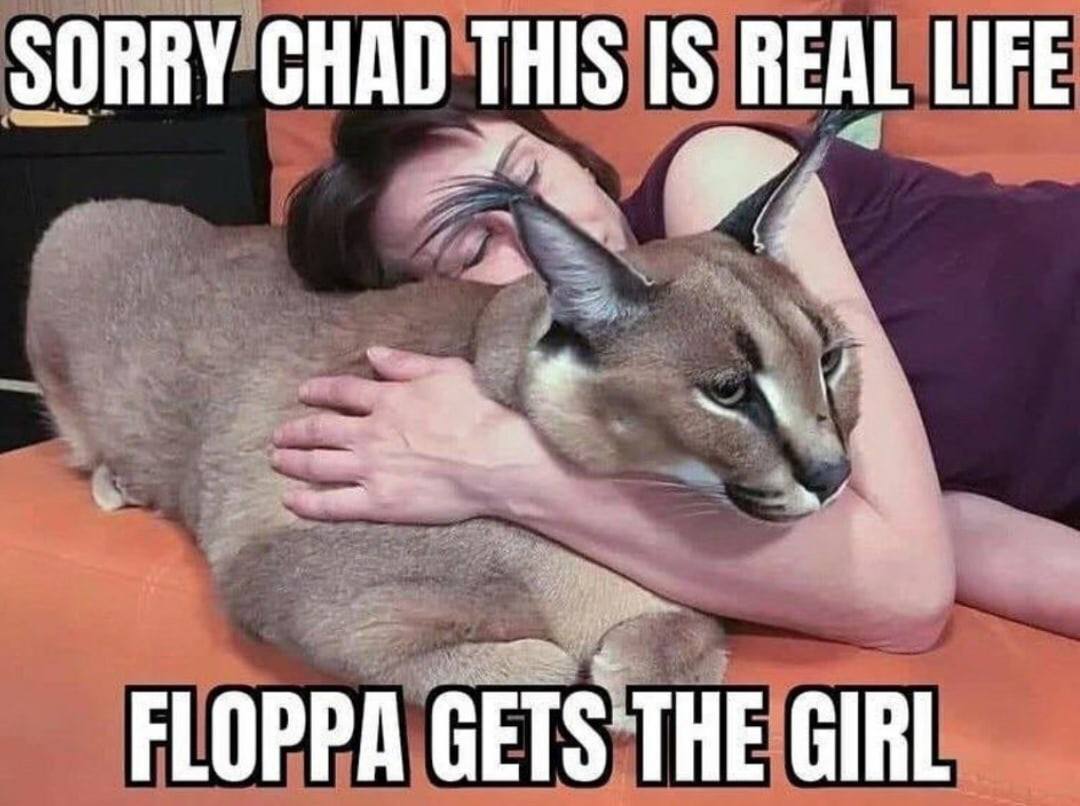 SORRY CHAD THIS IS REAL LIFE FLOPPA GIRL