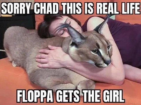 SORRY CHAD THIS IS REAL LIFE FLOPPA GIRL