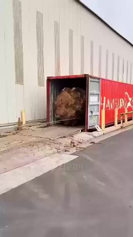 мем